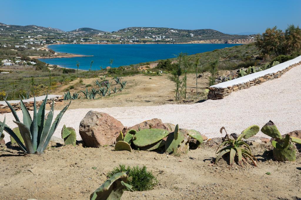 Natura Villas Paros 莫罗斯帕罗 外观 照片